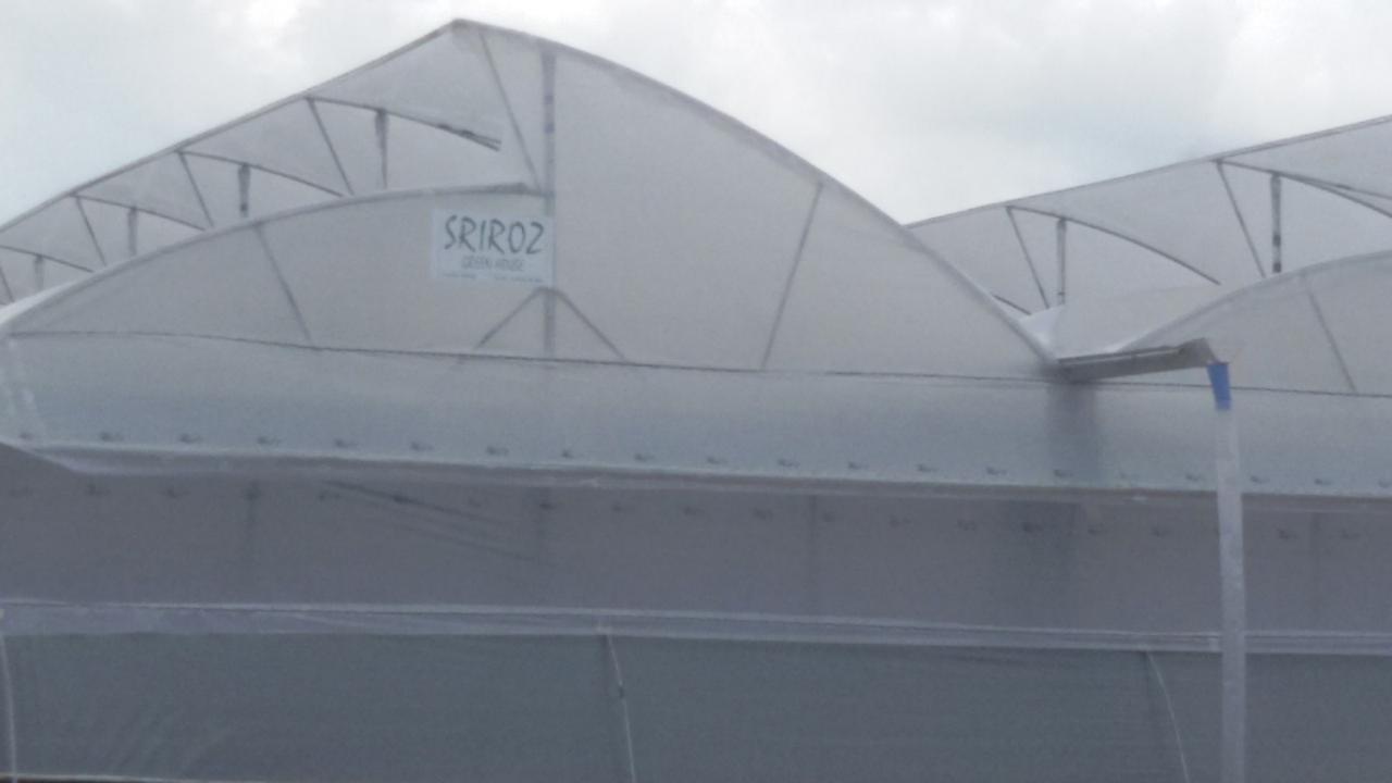 Greenhouse Project 58